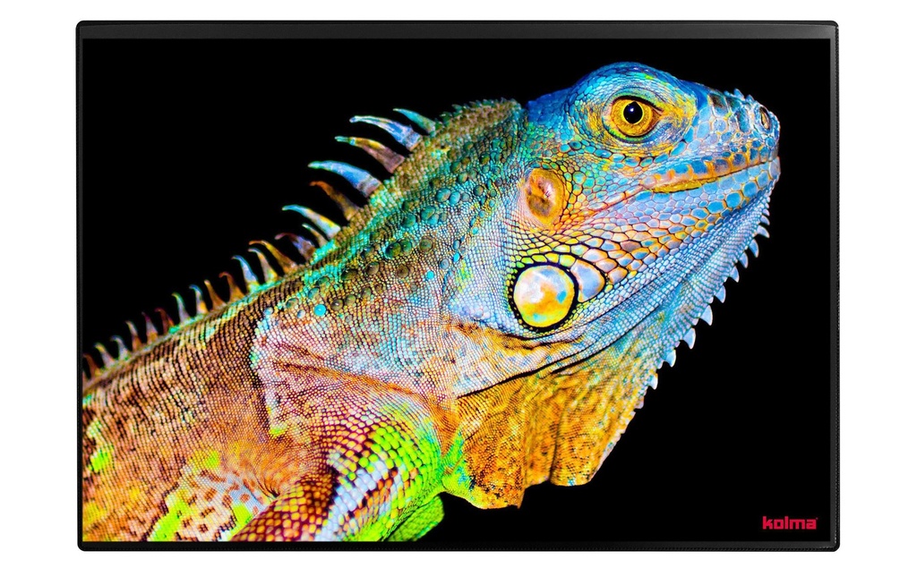 Kolma Sous-main Undercover Poster Exotic 50 x 34 cm