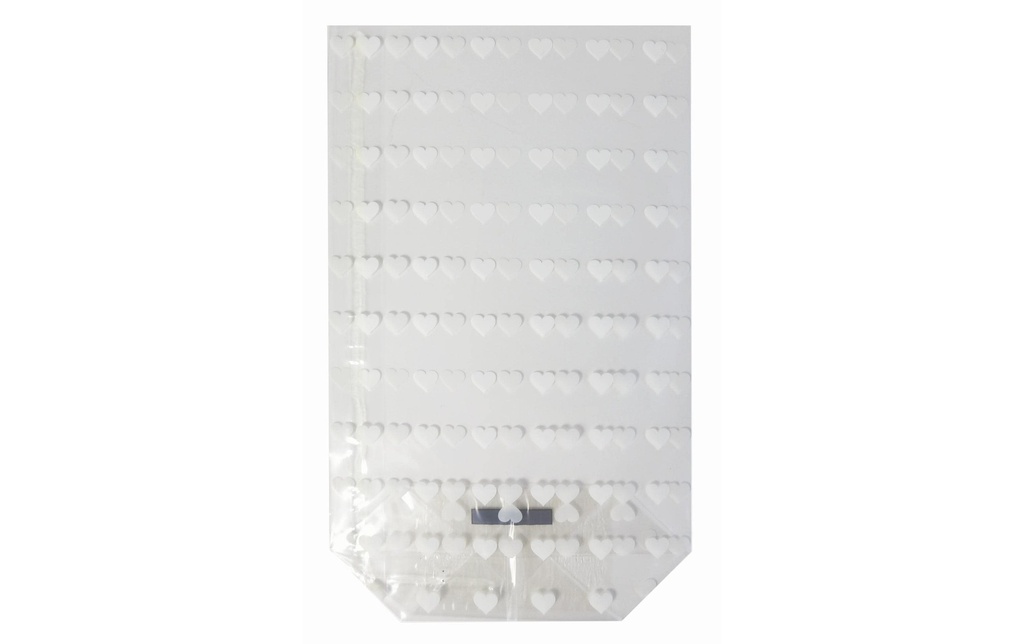 Braun + Company Sac transparent 14.5 x 23.5 cm