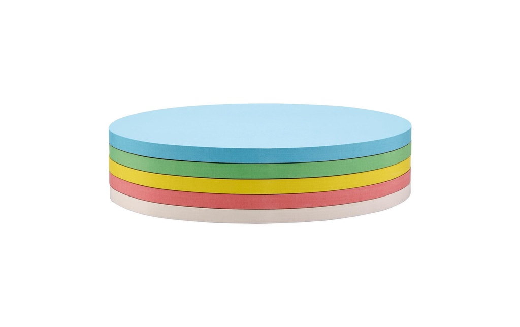 Magnetoplan Cartes de présentation 11 cm x 19 cm 5 couleurs, 250 pièces
