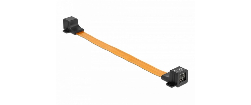 Delock Passage de fenêtre RJ45 FPC, 30 cm 1 Pièce/s