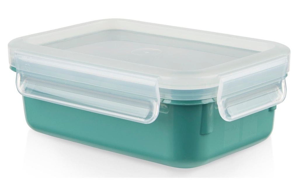 Emsa Récipients à provisions Clip & Close 0.55 l, Vert
