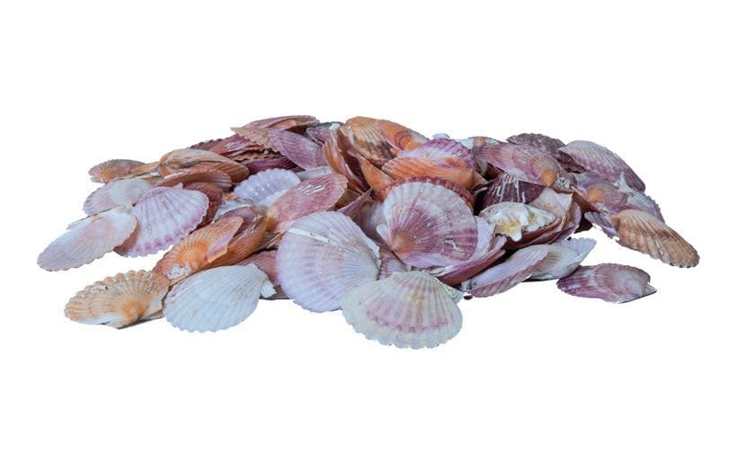 Dekomat AG Moules, 300 g Rose/Blanc