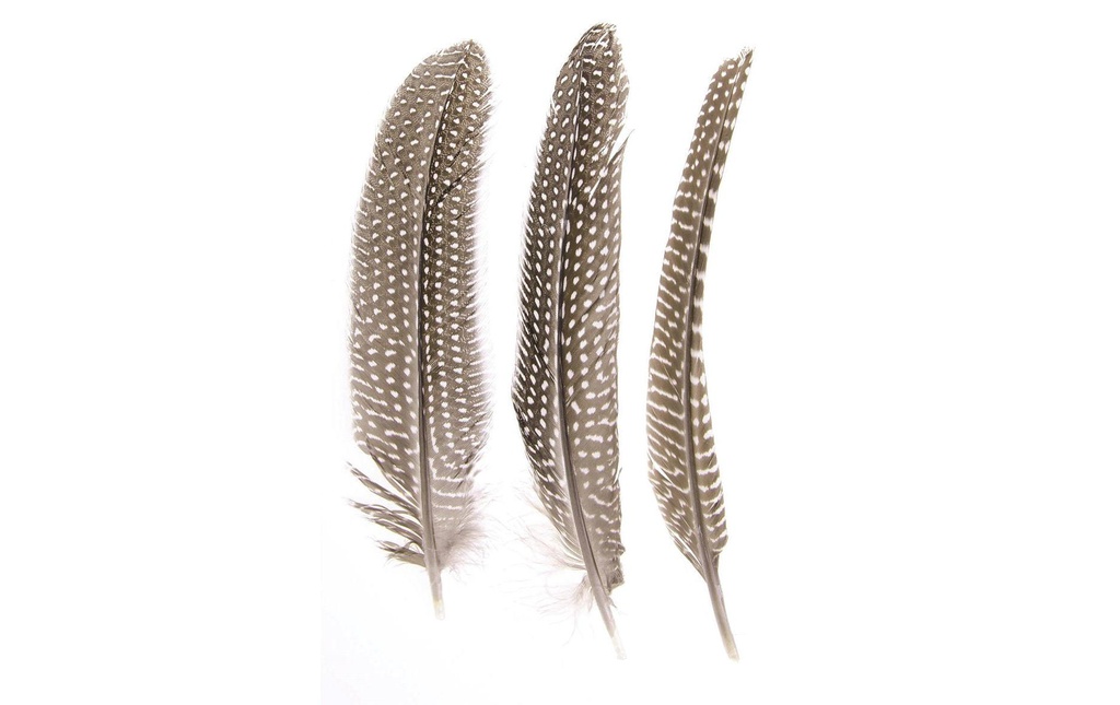 Glorex Plumes pintade 16-18 cm