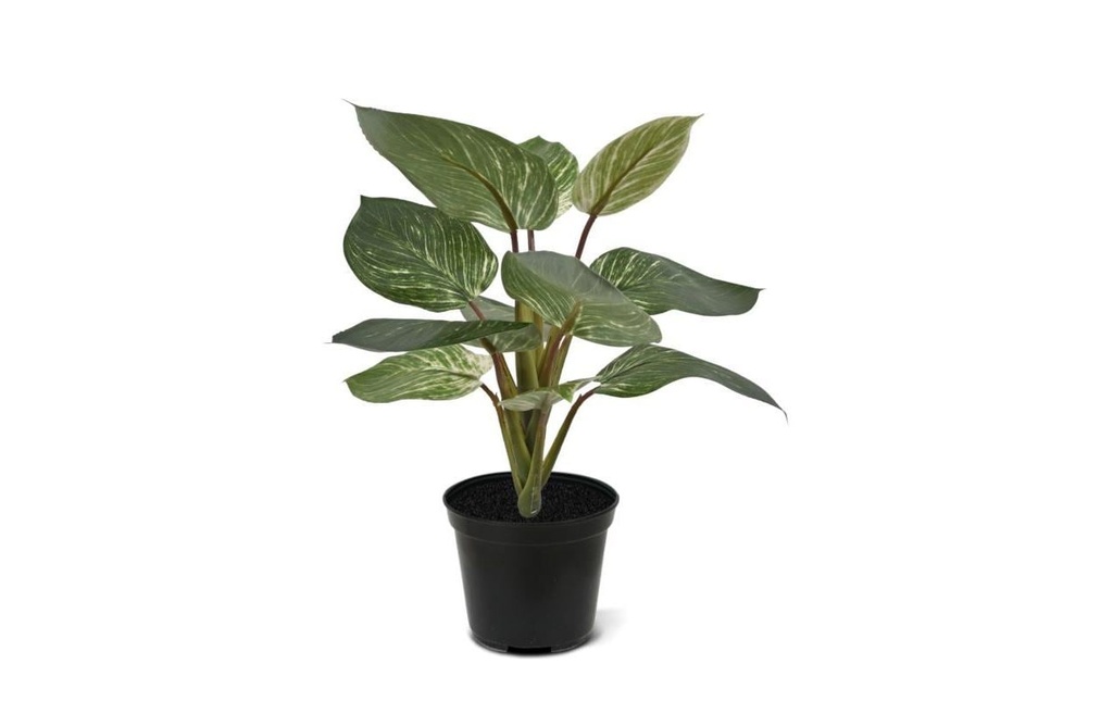 Botanic-Haus Plante artificielle Philodendron Birkin  30 cm
