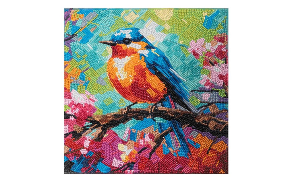 CRAFT Buddy Kits de bricolage Spring Robin Crystal Art Kit 30 x 30 cm