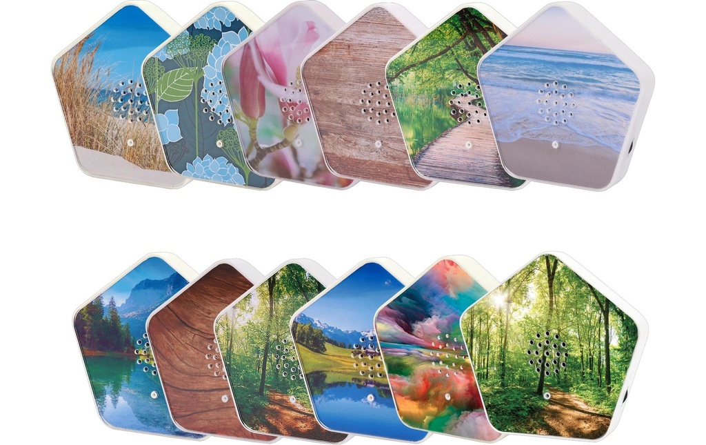 OLYMP Boîte de sons de la nature 6 pièces avec 4 sons et 12 motifs chacune