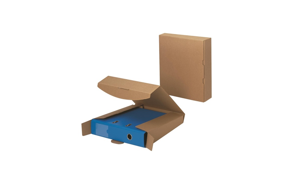 Brieger Carton d’expédition des dossiers 32.2 x 29 x 7.5 cm, 1 pièce