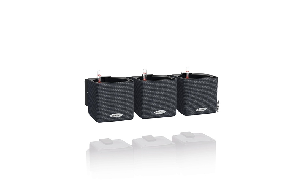 Lechuza Pot de fleur Green Wall Home Kit CO Noir