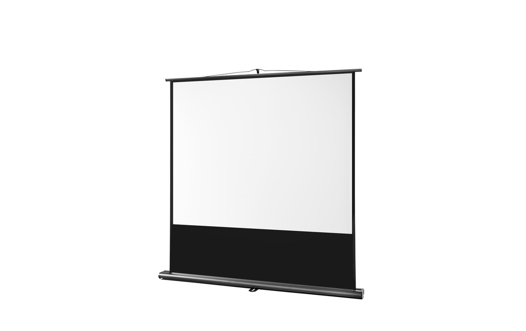 Celexon Écran mural mobile Ultramobil Pro 160x120cm 4:3
