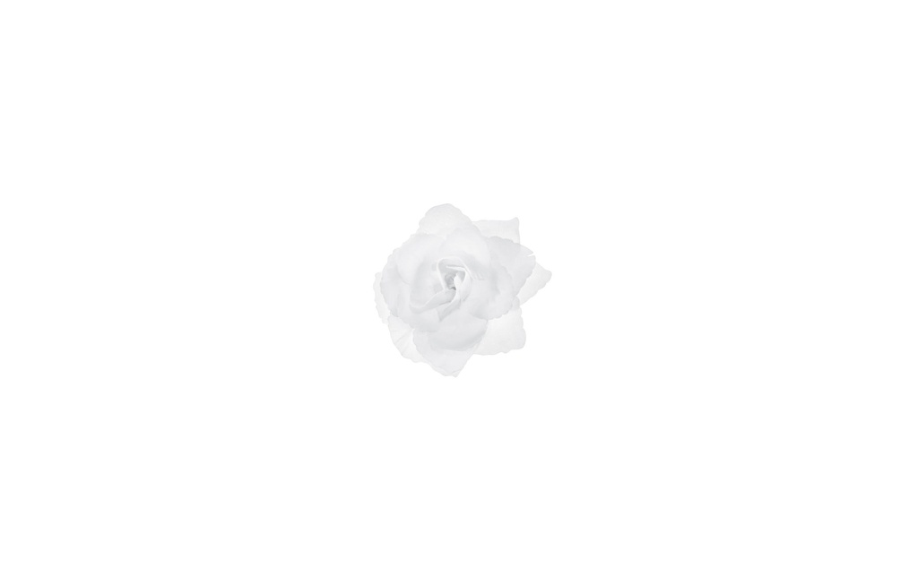 Partydeco Accessoires de mariage Décoration de voiture Rose auto-adhésive blanc