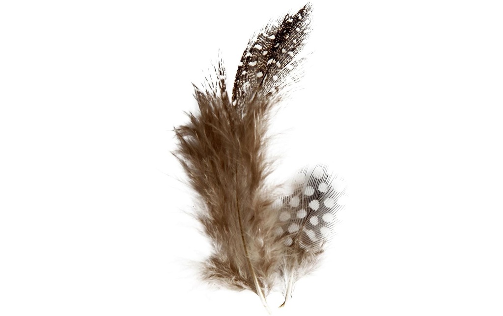 Creativ Company Plumes Pintade 100 pièces, Brun