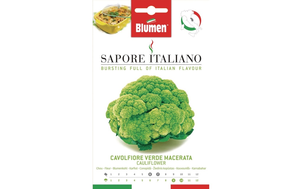Blumen Semence Chou-fleur Verde Macerata