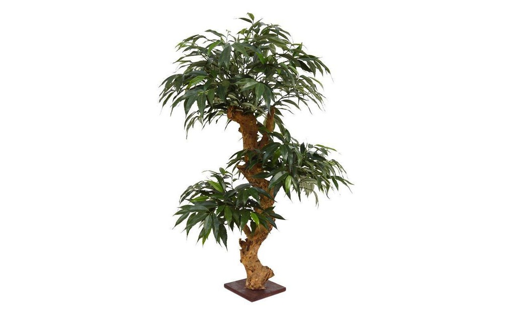 Botanic-Haus Plante artificielle Bonsaï Shirakashi, 80 cm 80 cm