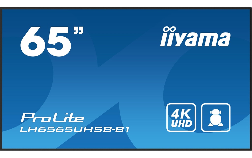 iiyama Ecran Public Pro Lite LH6565UHSB-B1 64.5