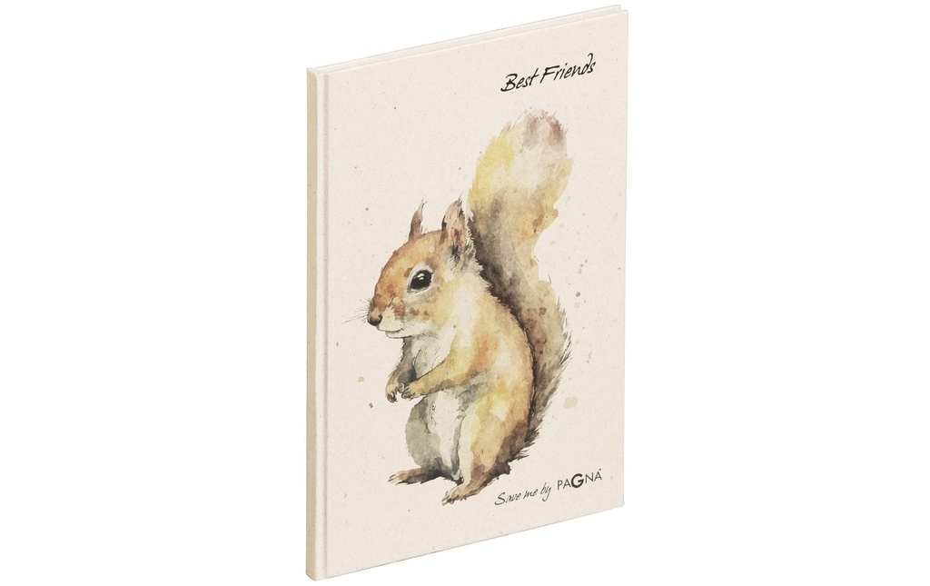 PAGNA Livre d'amis Ècureuil (60 pces)