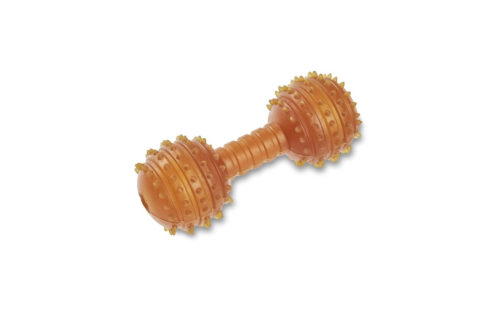 Wolters Jouet pour chien Haltère dentaire Pure Nature, L, 14.5 cm