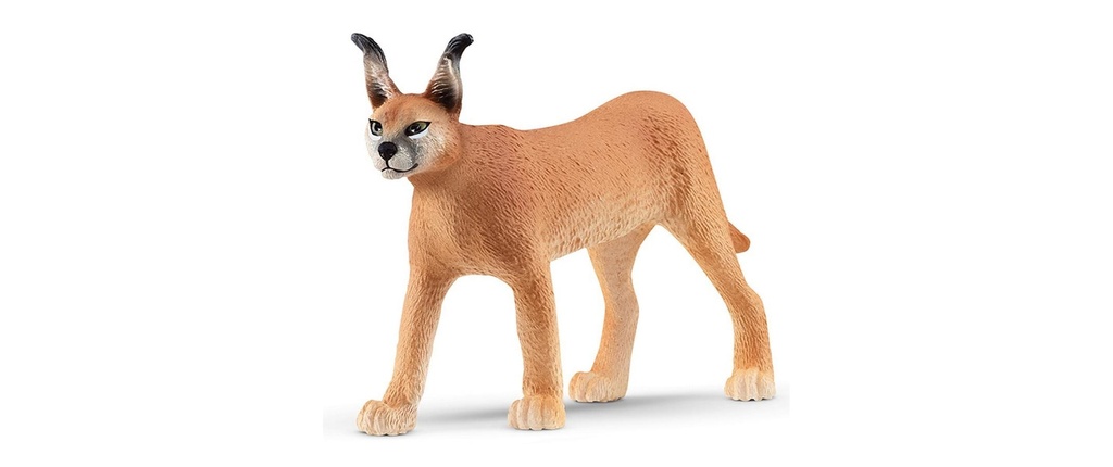 Schleich Figurine de jeu Wild Life Caracal femelle