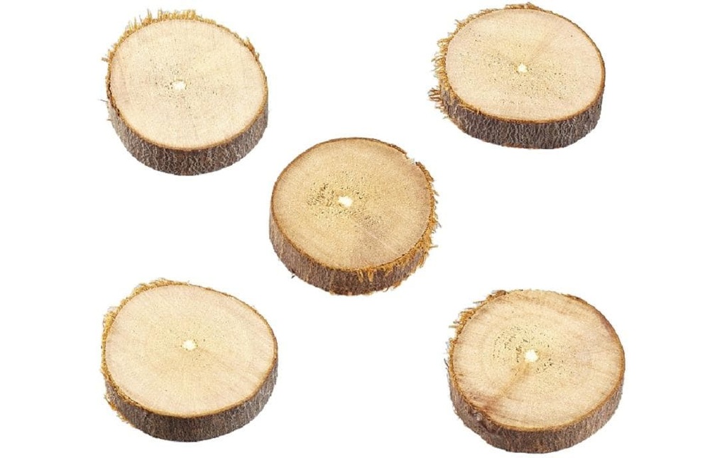 HobbyFun Disques en bois Mini-ustensiles 20 mm, 10 pièces