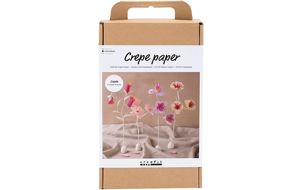 Creativ Company Kits de bricolage Papier crêpe