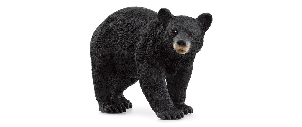 Schleich Figurine de jeu Wild Life Ours noir américain