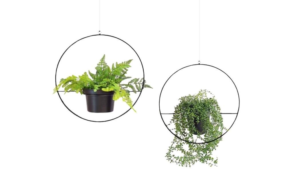 Wallxpert Feux de Fleurs Set de 2 pièces, Noir