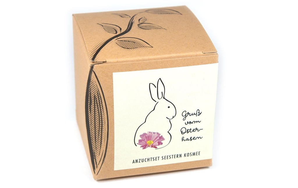 Naturkraftwerk Kits de culture de semis Le lapin de Pâques te salue, avec étoile de mer Cosmee