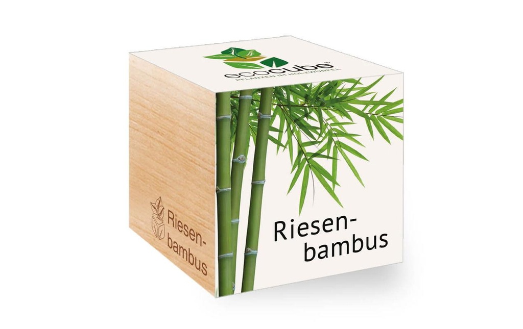 Feel Green Ecocube Bambou géant