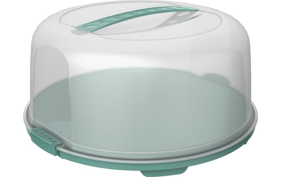 Rotho Boîte de transport pour gâteau Fresh haut, Transparent/Vert