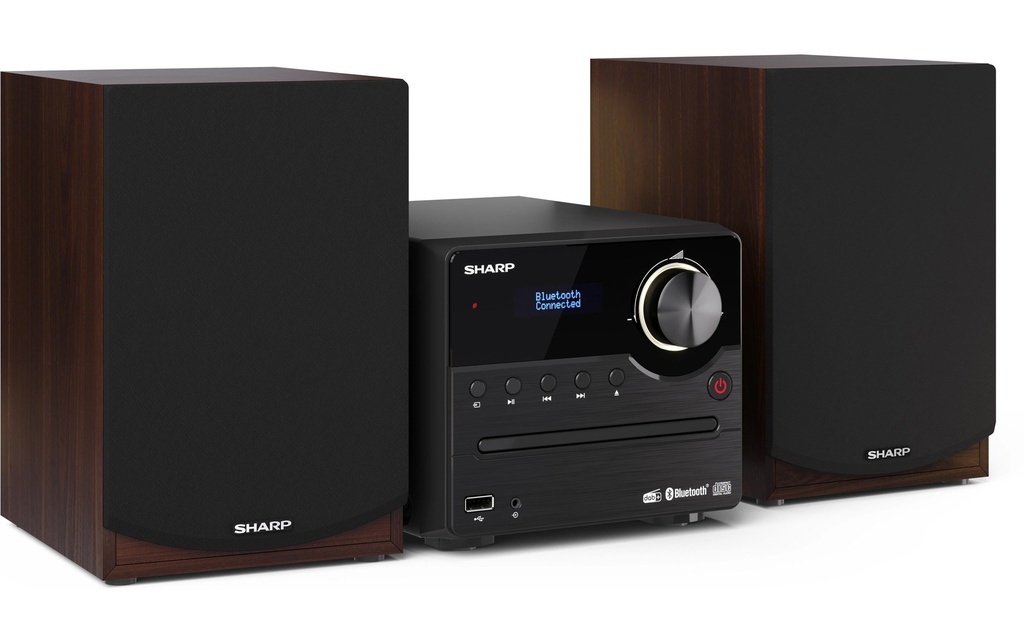 Sharp Systèmes audio XLB517DBR Microsystème DAB+/FM