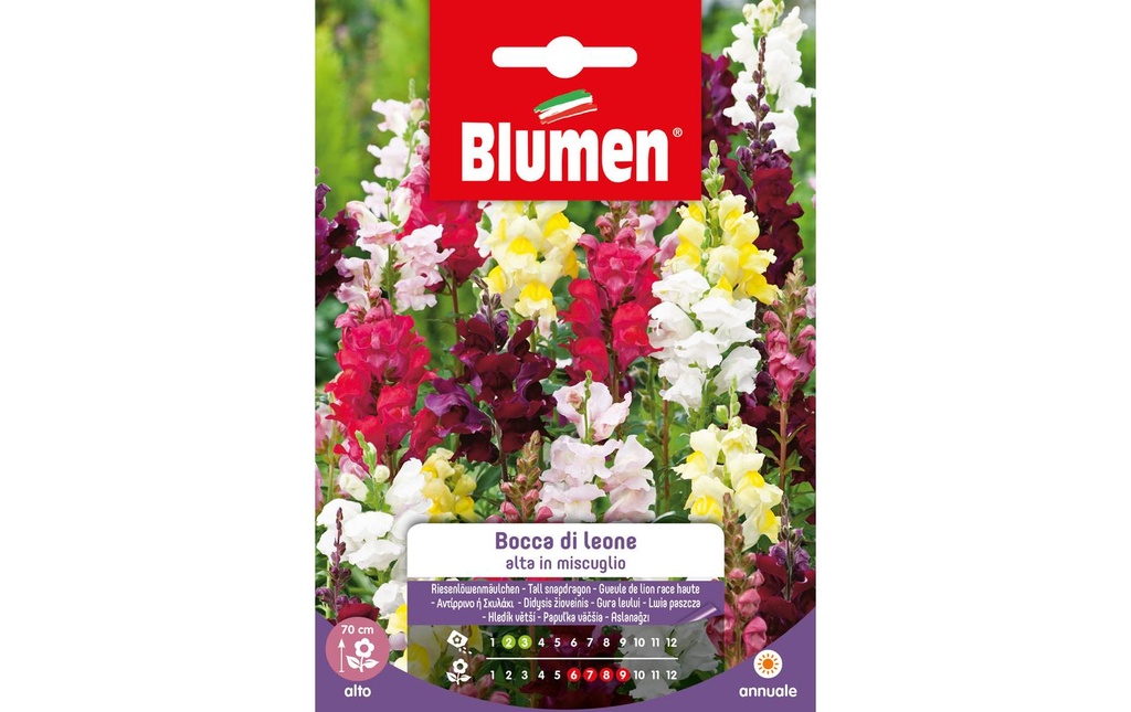 Blumen Semence Mélange de gueules-de-loup géantes