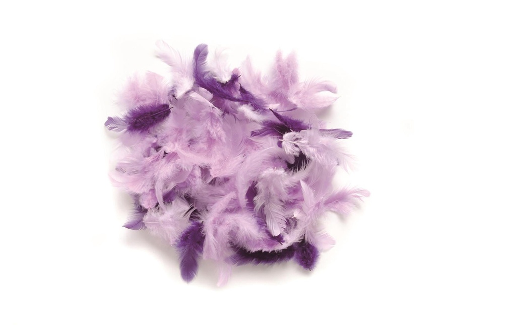 Glorex Plumes Deco Violet