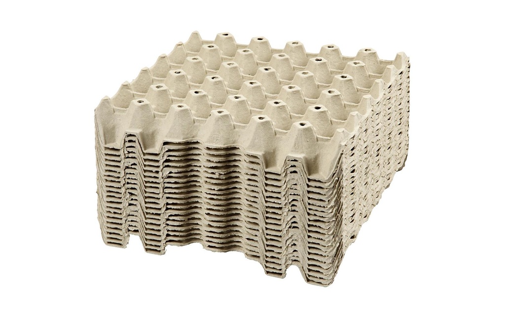 Creativ Company Boîte en carton Œufs 29 x 29 x 4 cm 20 pièces