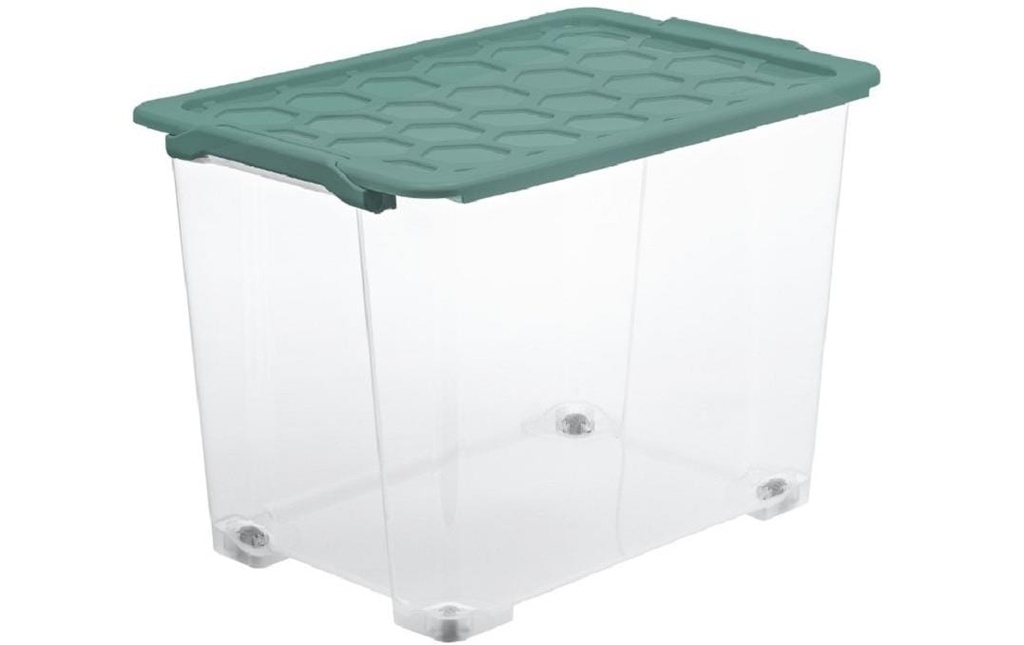 ROTHO Box SAFE 65L transparent/vert