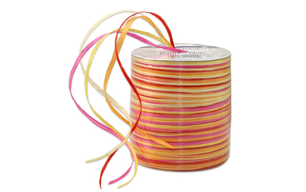 PRÄSENT Ruban cadeau MULTI-RAFFIA (50 pces)