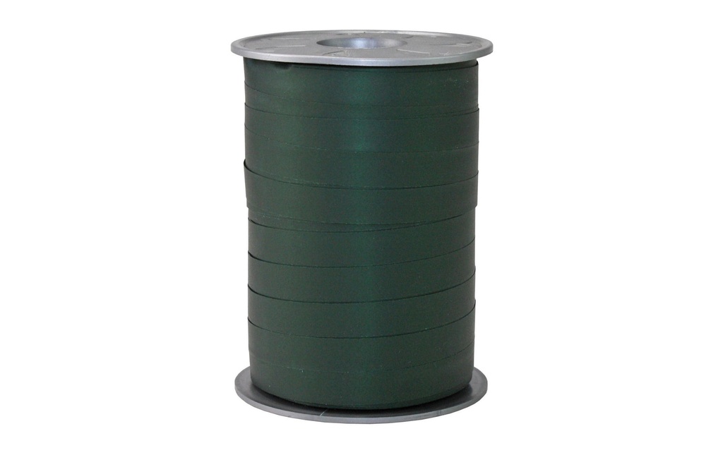 PRÄSENT Ruban cadeau OPAK 10mm vert fo (200 pces)