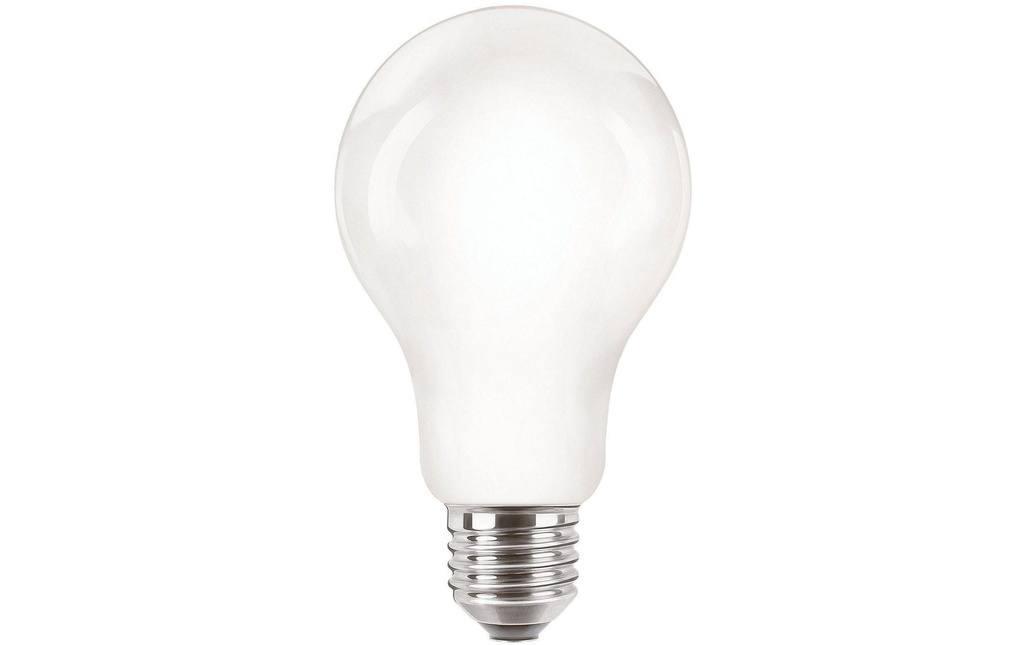 Philips Professional Lampe CorePro LEDBulb ND 120W E27 A67 827 FR G