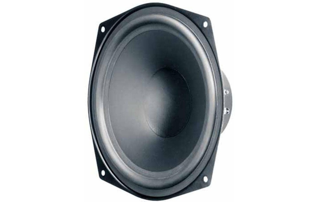 Visaton Haut-parleur de graves HiFi WS 20 E