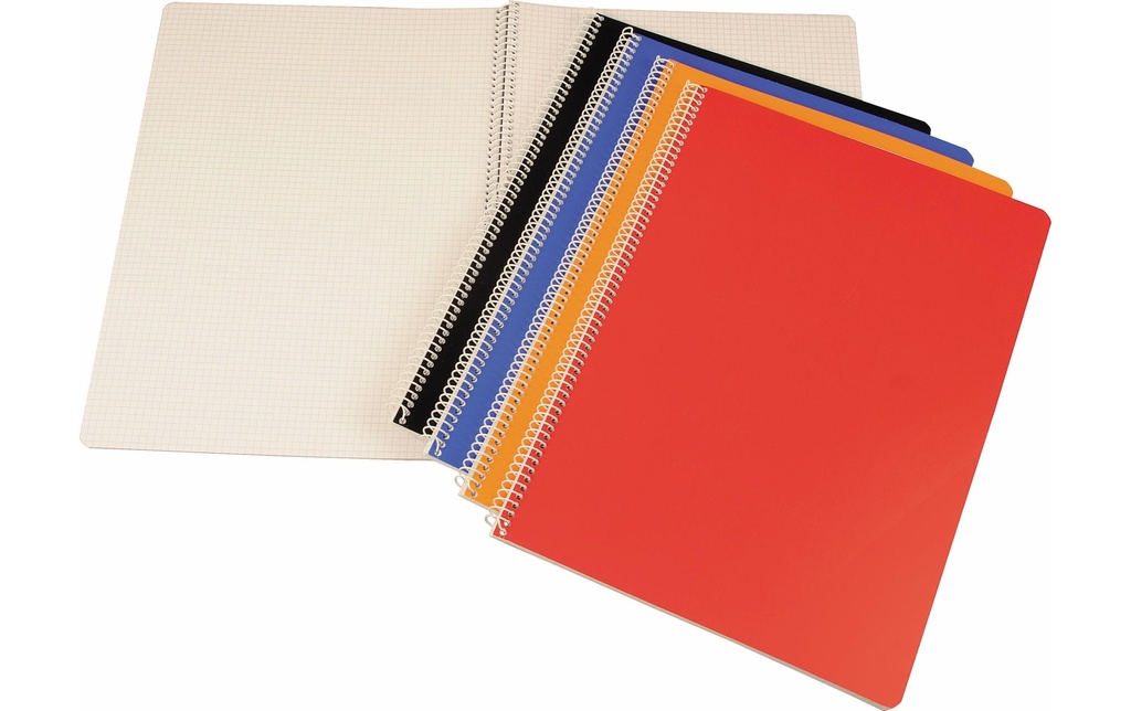Neutral Carnet de notes avec reliure spirale A4 A carreaux, 10 pièces