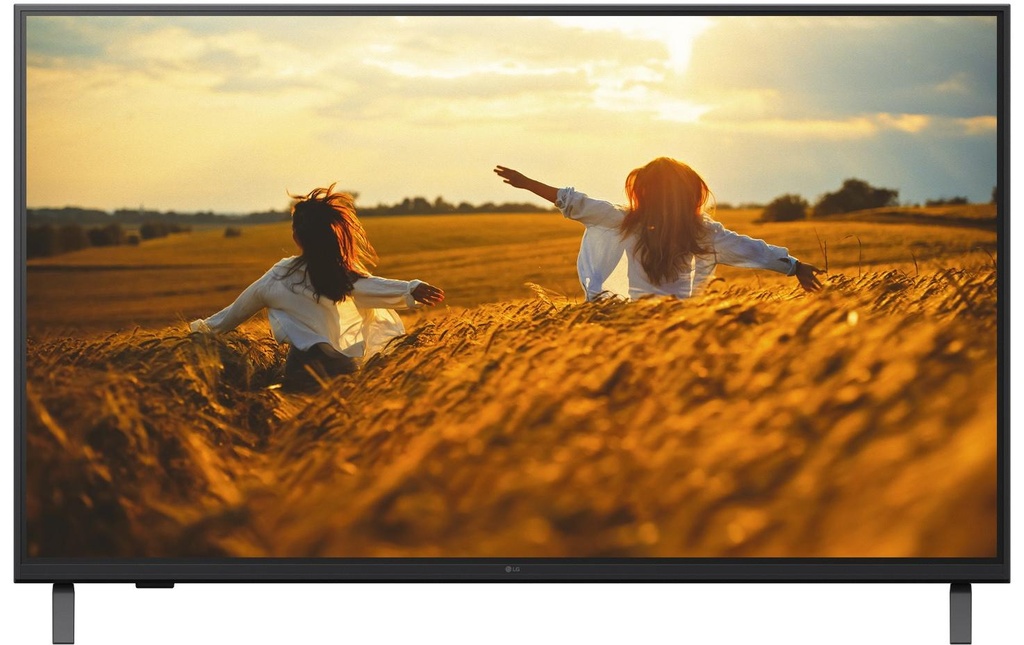 LG TV d’hôtel 65UK660H 65