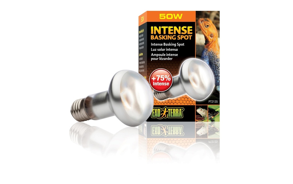 Exo Terra Lampe pour terrarium Intense Basking Spot E27, R20/50W