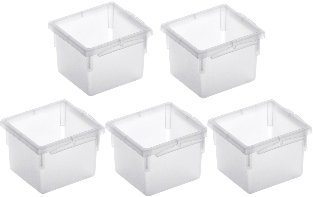 Rotho Systèmes de classement Basic 5, pièce, 8 x 8 cm Transparent