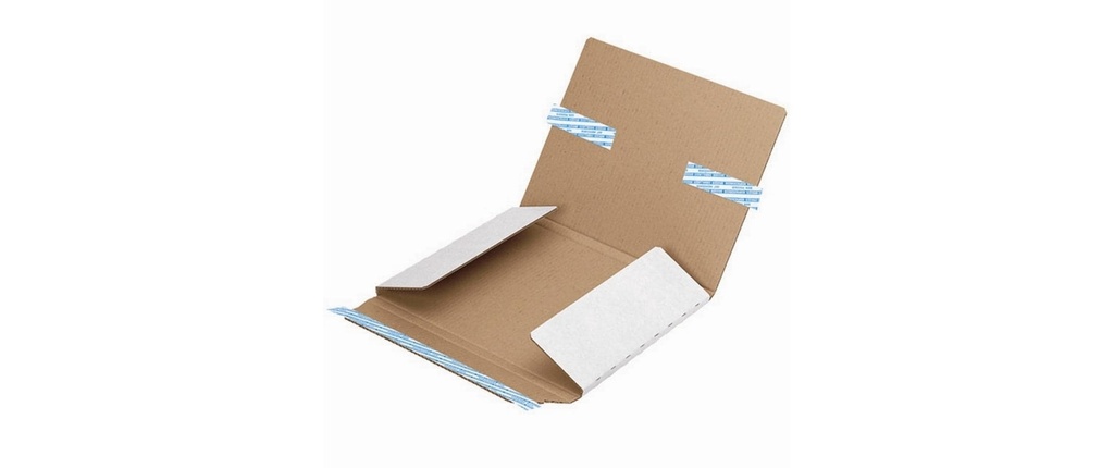 Brieger Carton d’expédition 19.3 x 9.2 x 1 cm