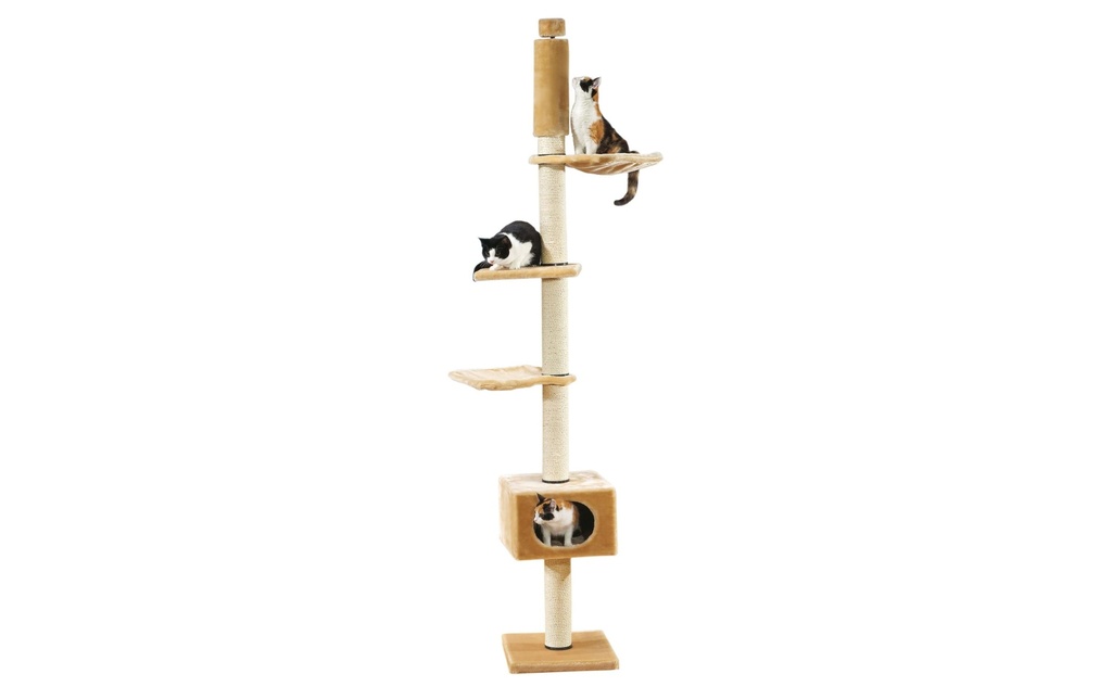 SwissPet Arbre à chat Ascona, Beige