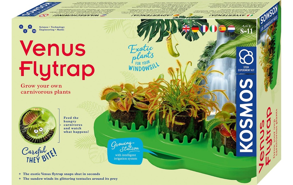 Kosmos Boîtes d’expérimentation Venus Flytrap