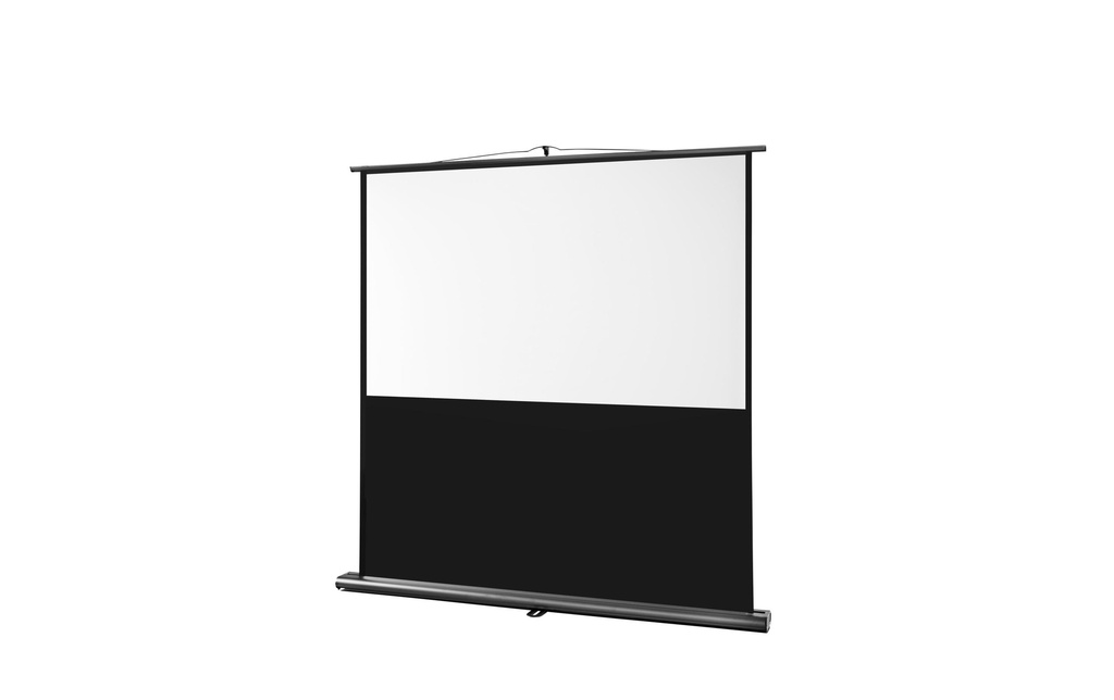 Celexon Écran mural mobile Ultramobil Pro 120x75cm 16:10