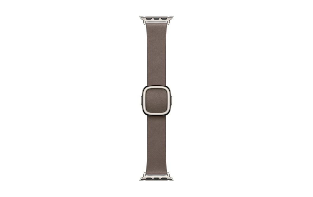 Apple Boucle moderne 42 mm Taupe L
