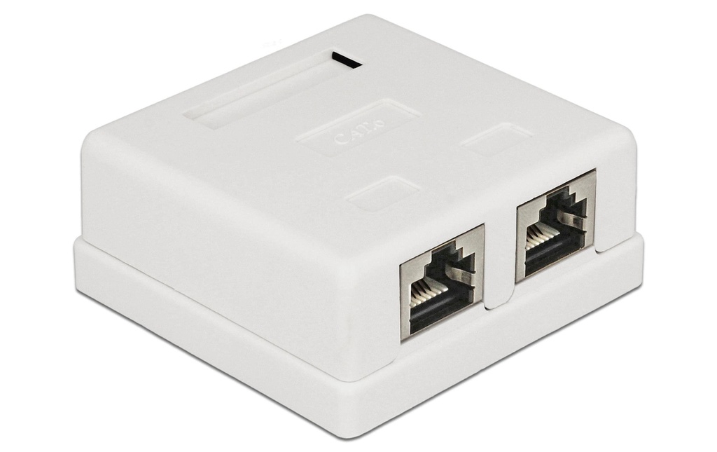 Delock Boîtier Cat.6 LSA 2 fois
