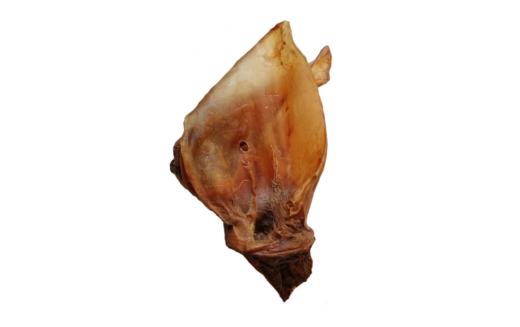 essendia Produit à mâcher  Oreilles de bœuf avec coquille grande, 500 g