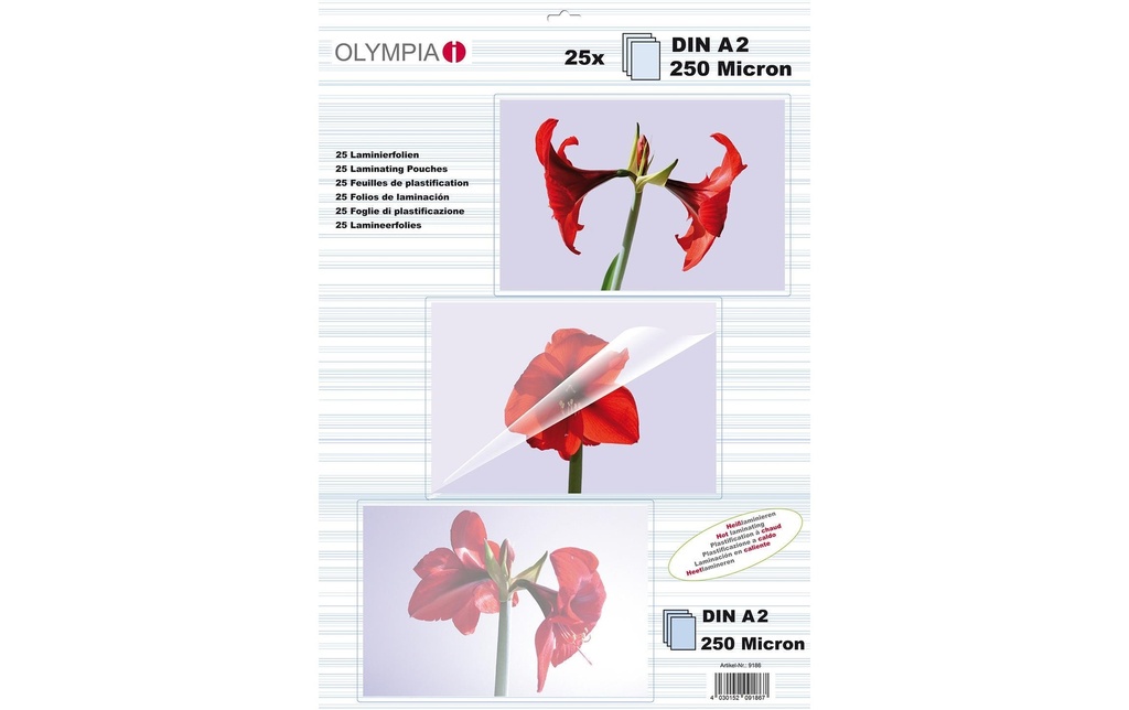 Olympia Film laminé A2, 250 µm, 25 pièces, brillant