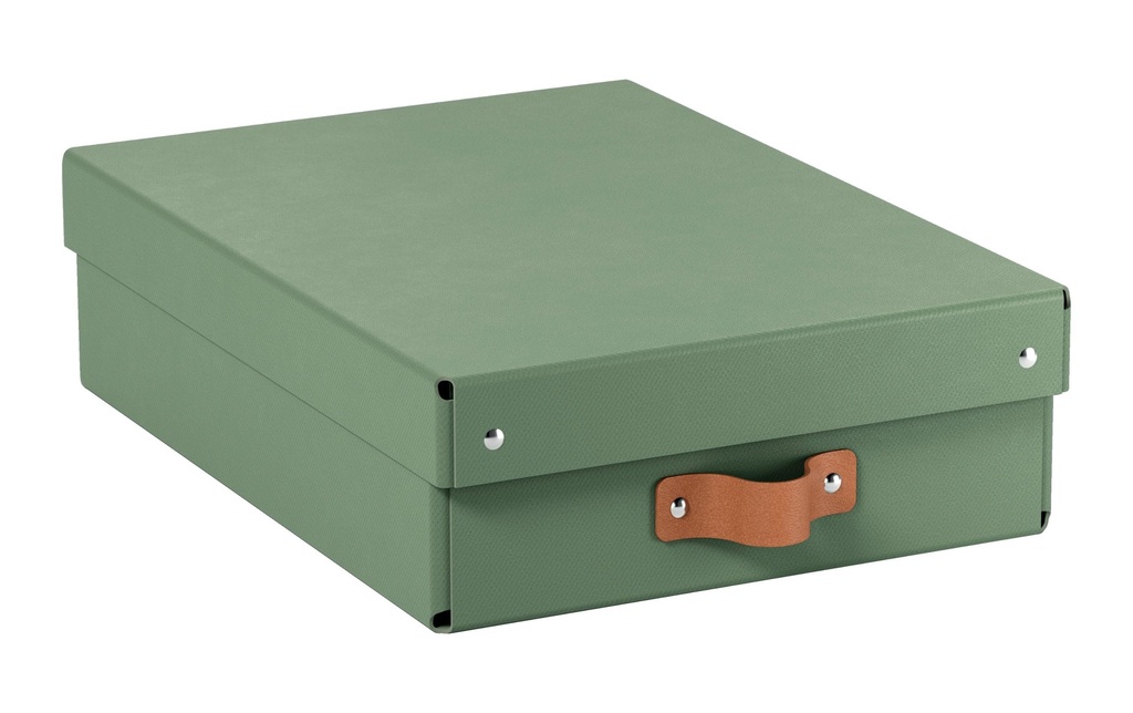 Leitz Boîte d'archives Puro plate avec couvercle à charnière, 2 pièces, Vert clair